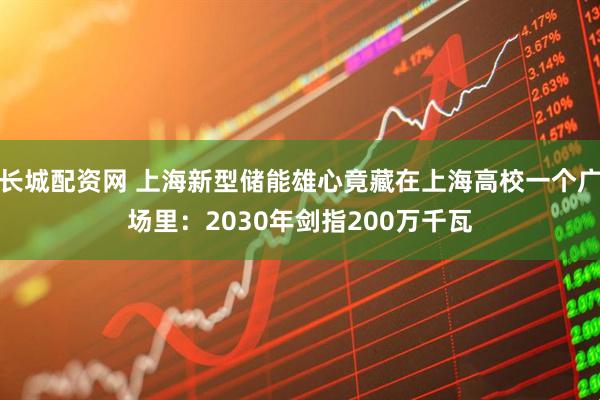 长城配资网 上海新型储能雄心竟藏在上海高校一个广场里：2030年剑指200万千瓦