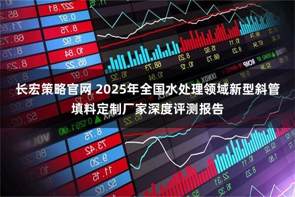 长宏策略官网 2025年全国水处理领域新型斜管填料定制厂家深度评测报告