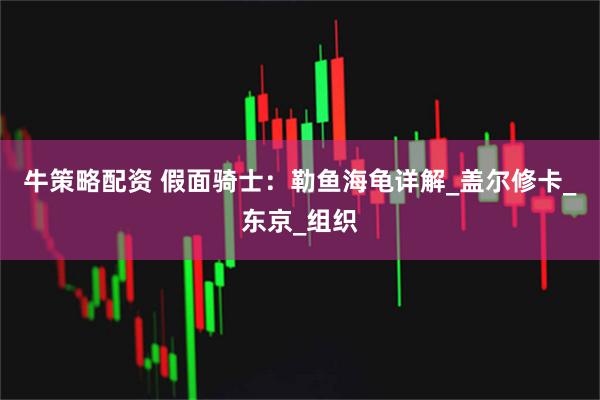 牛策略配资 假面骑士：勒鱼海龟详解_盖尔修卡_东京_组织