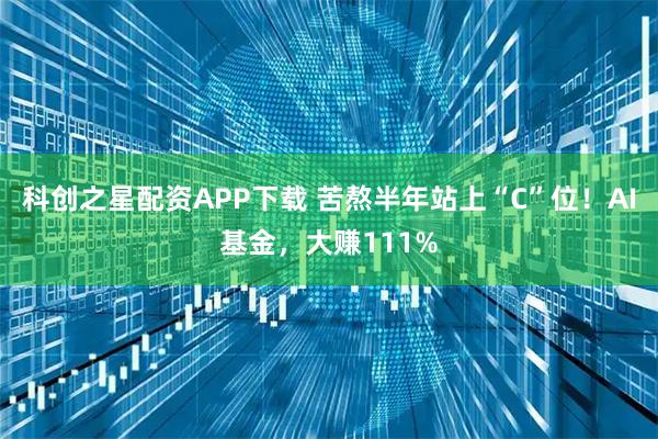 科创之星配资APP下载 苦熬半年站上“C”位！AI基金，大赚111%